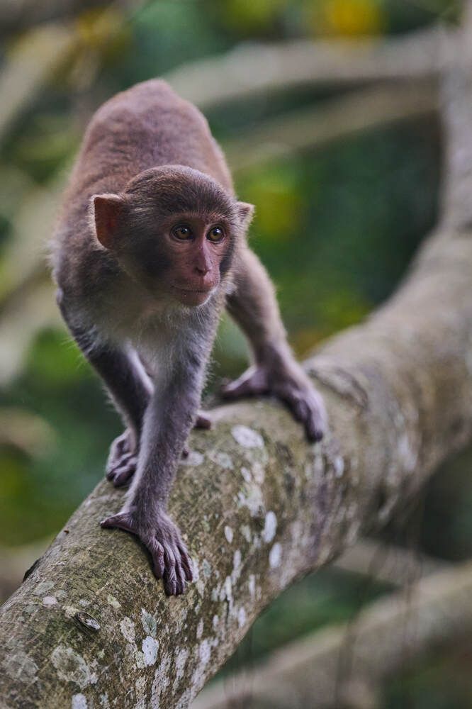 Photograph by Дмитрий Солодухин