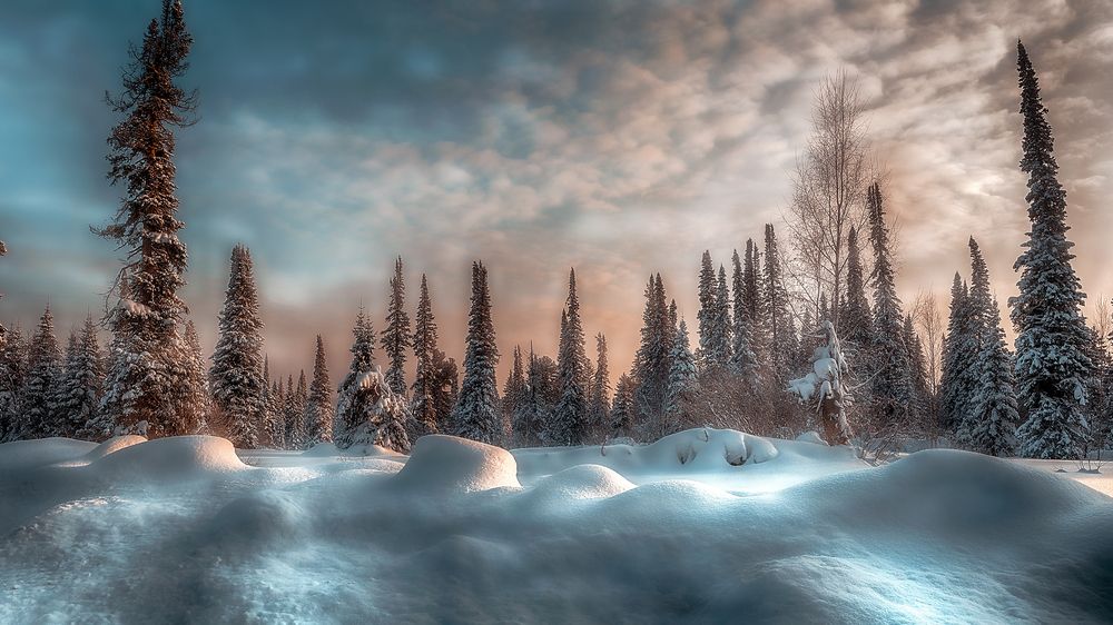 Photograph by Холудеев Виктор