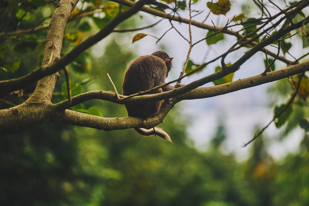 Photograph by Дмитрий Солодухин