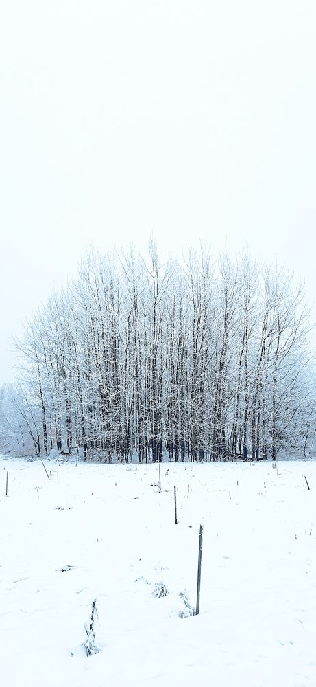 Фотография автора Василиса Новикова