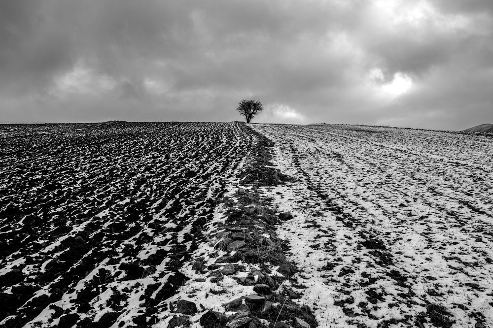 Photograph by Edris Khosravizadeh