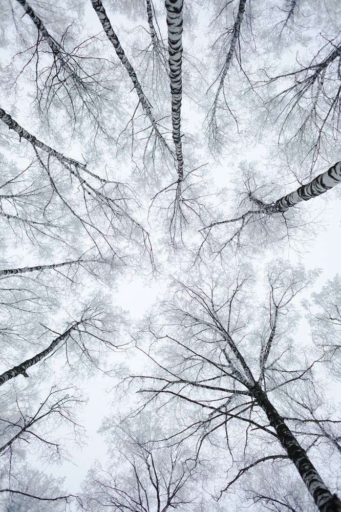 Photograph by Дарья Улюсова