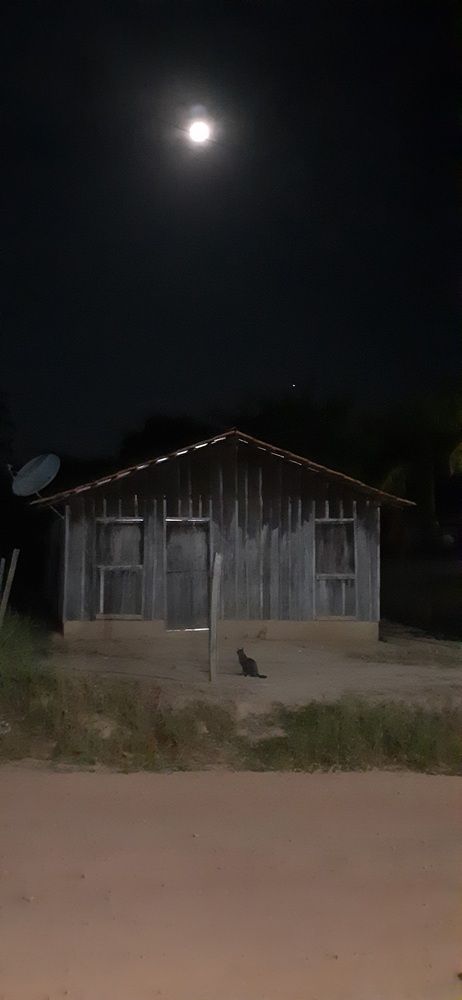 Photo #11843781