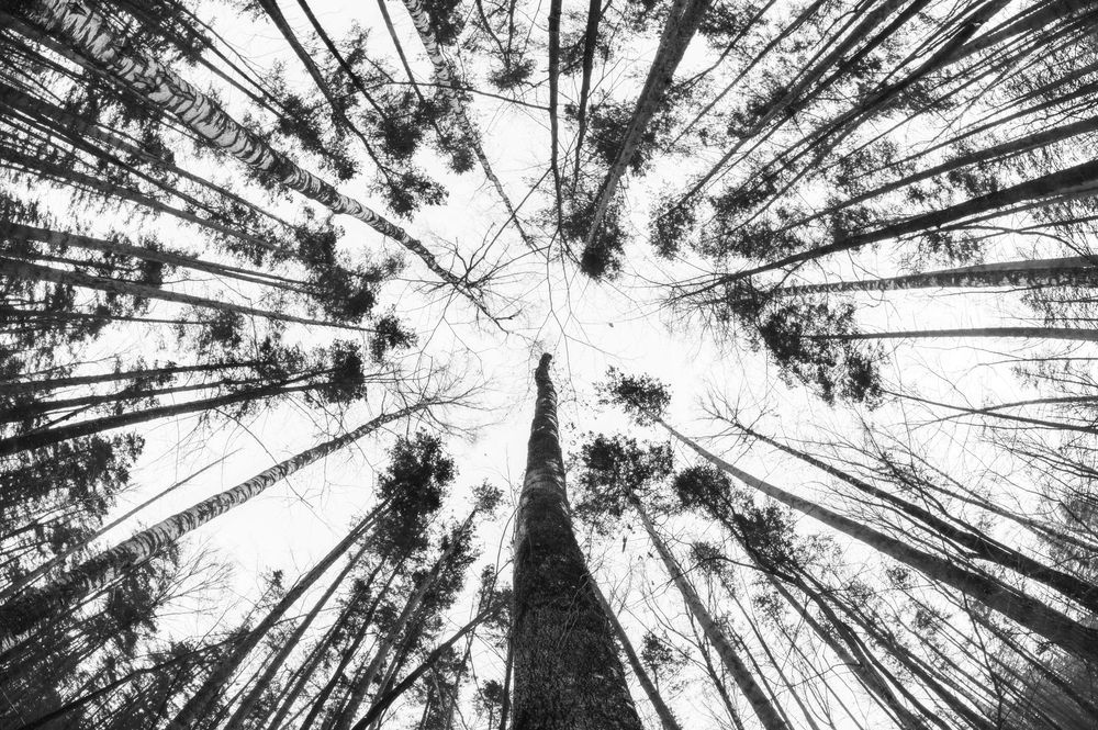 Photograph by Nephotograph