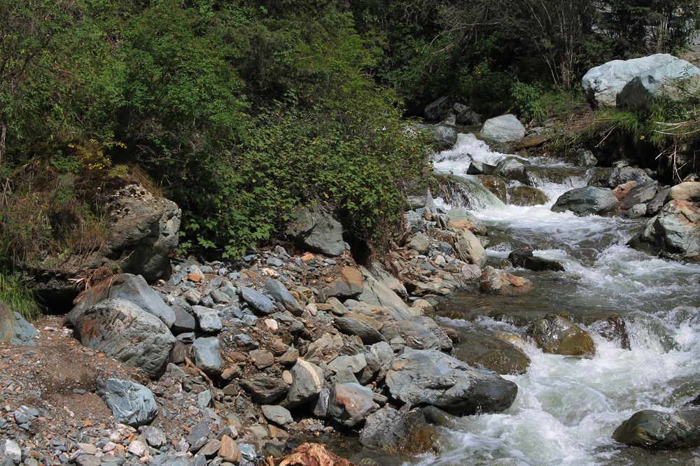 Photograph by Анастасия Якубовская