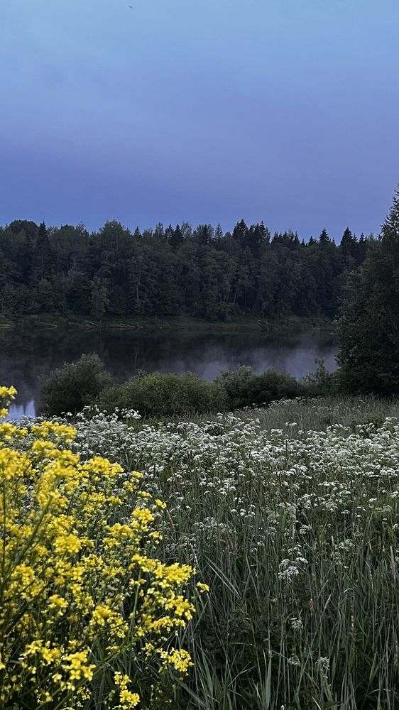 Photograph by Наталья Никитина