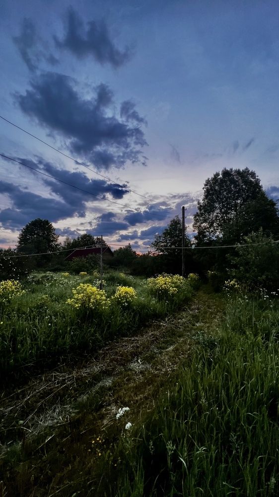 Photograph by Наталья Никитина