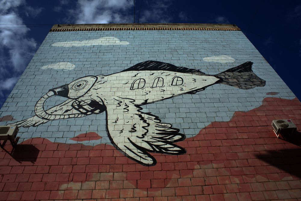 Фотография автора Александр Бичинев