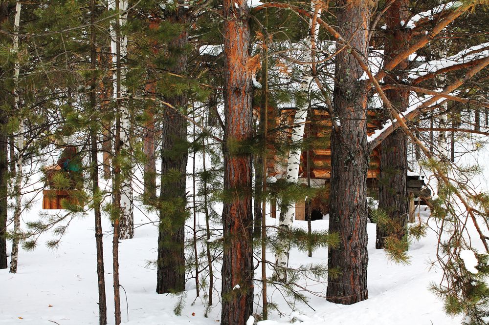 Photograph by Анастасия Якубовская