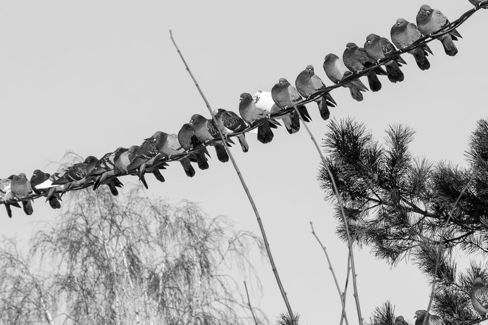 Photograph by Sergey Tyasto