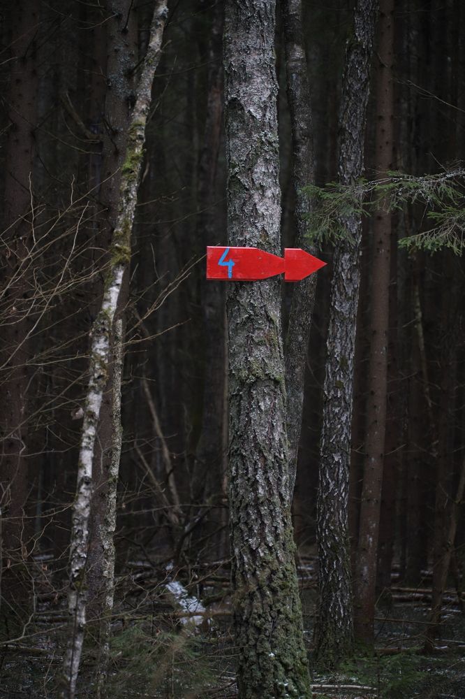 Фотография автора Роман Савин