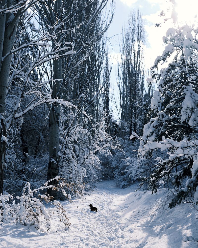 Фотография автора Эделев Владимир