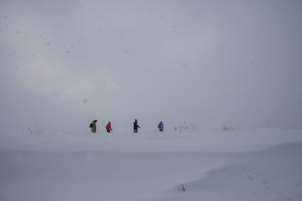 Photograph by Ирина Алексеевна Дудаль-Вологодская