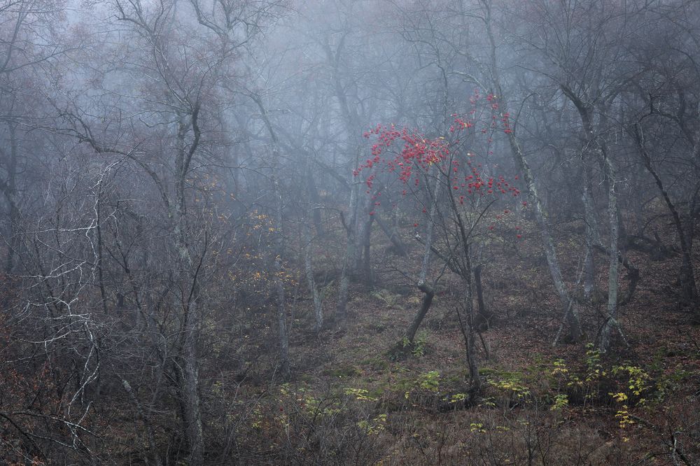 Photograph by Марина Александрова