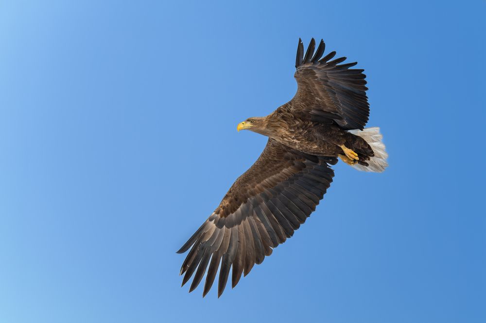 Photograph by Nephotograph