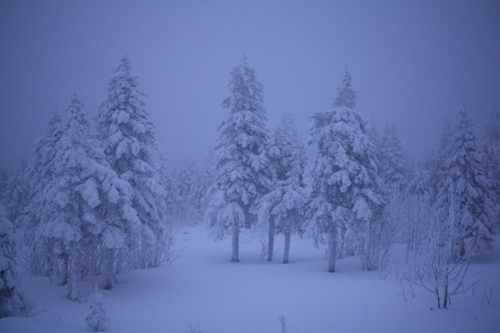Photograph by Евгений Распопин