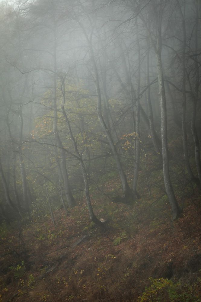 Photograph by Марина Александрова