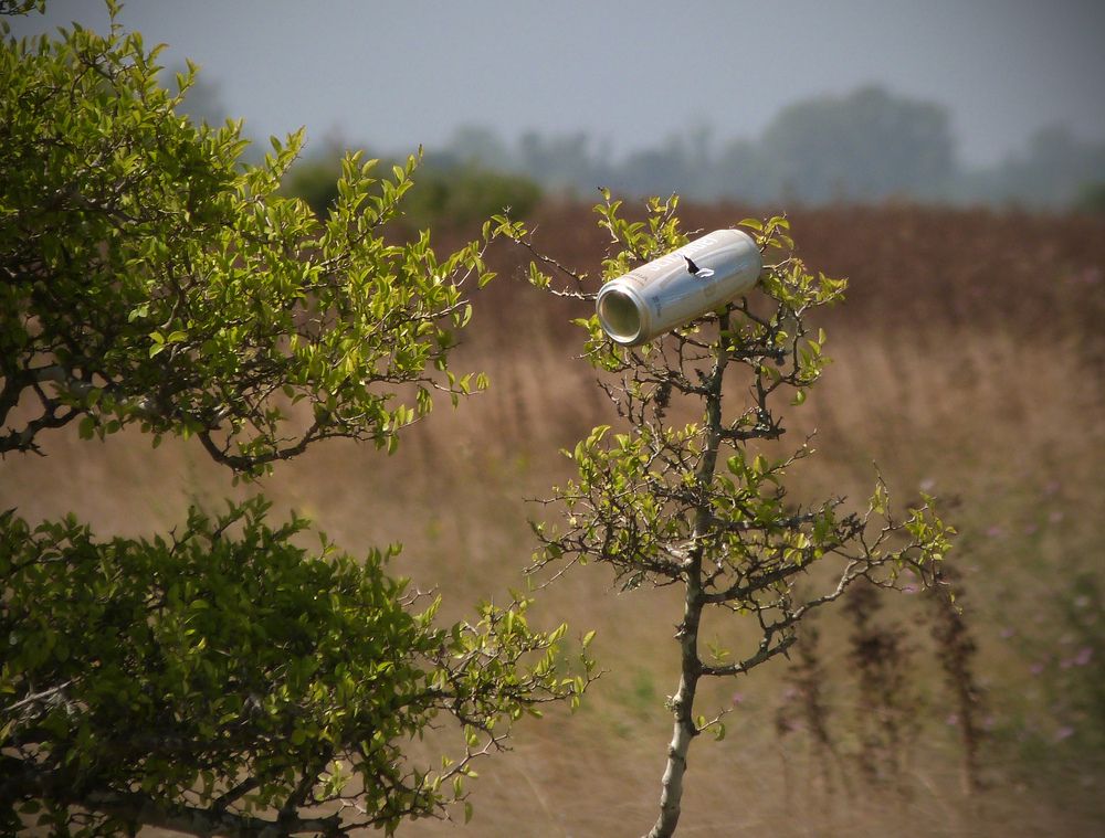 Photograph by GLEYDA GUTIÉREZ