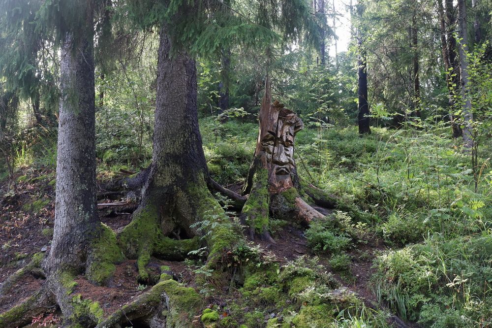 Photograph by DUBINA LEONID