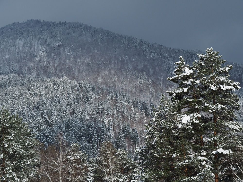 Photograph by МАрина Соловьева