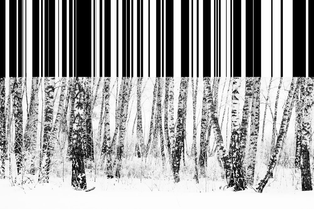 Штрих-код зимы