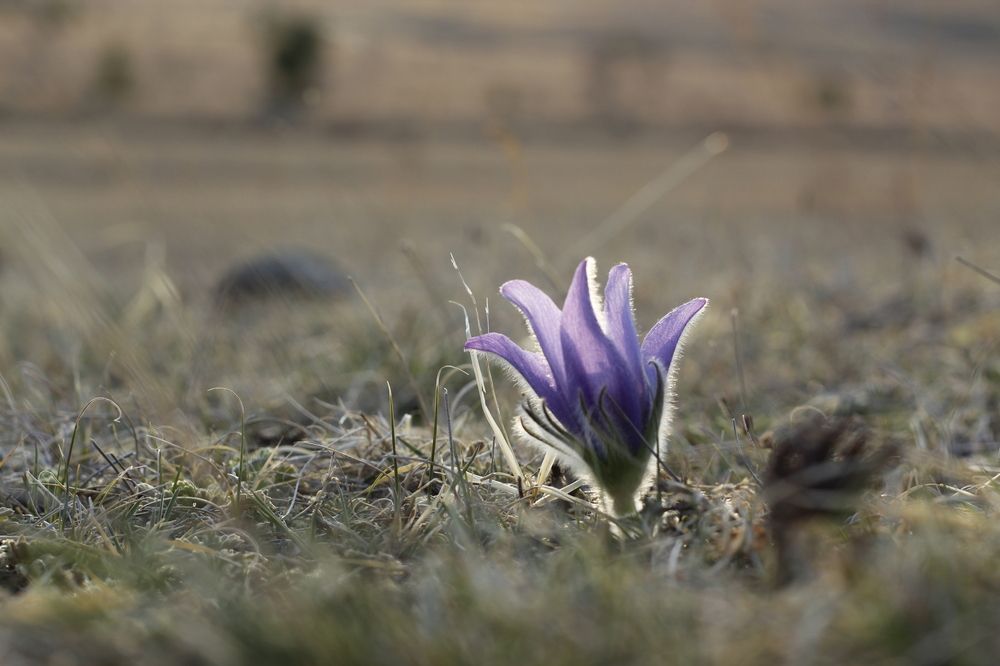 Photograph by Светлана Максимова
