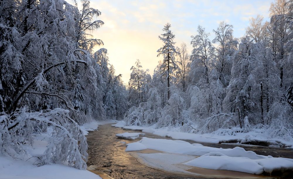 Photograph by елена