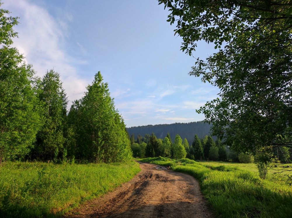 Photograph by Алиса Ермолаева
