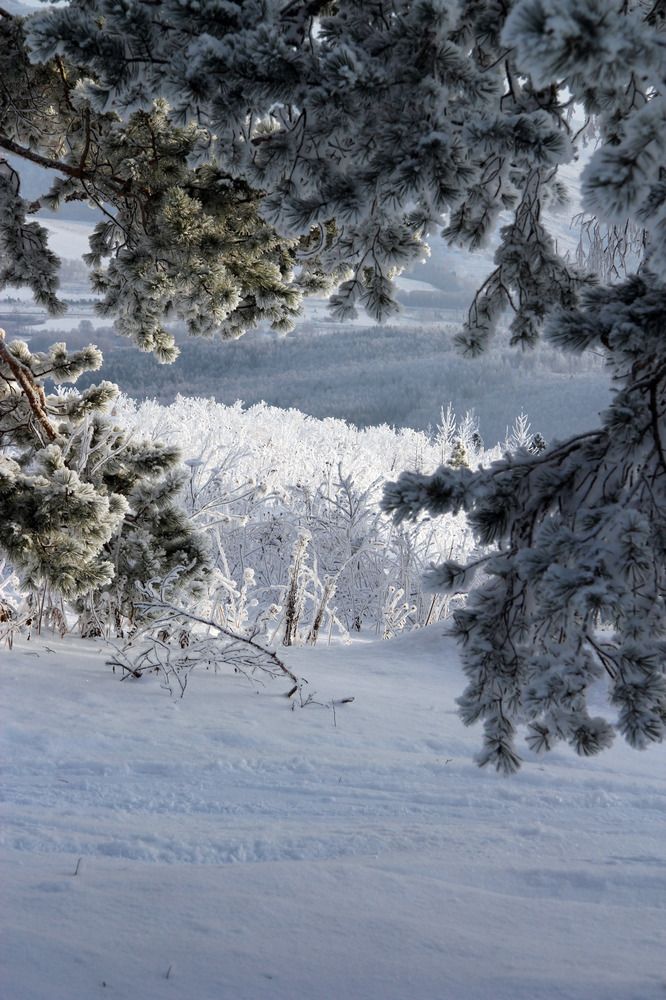 Photograph by Марина