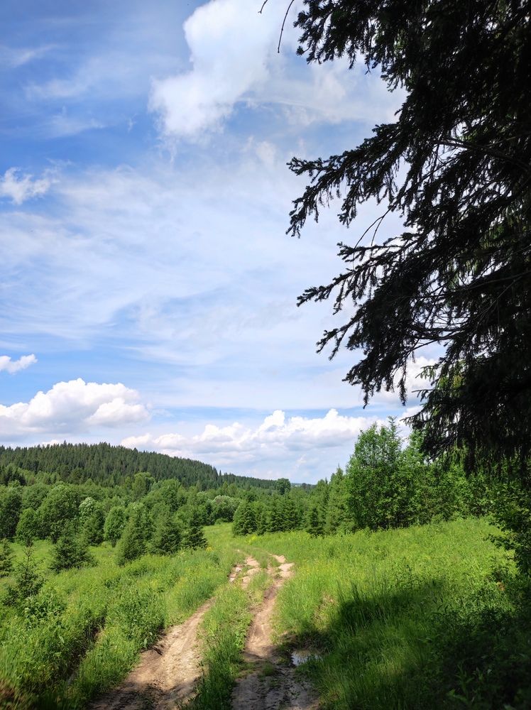 Photograph by Алиса Ермолаева