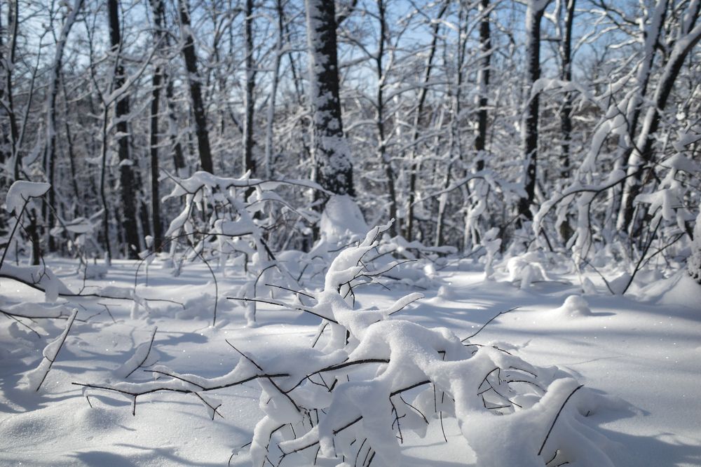 Photograph by Алла Никушкина