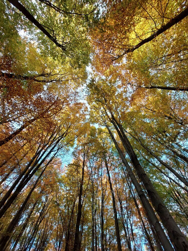 Photograph by Brigita Lehoťanová