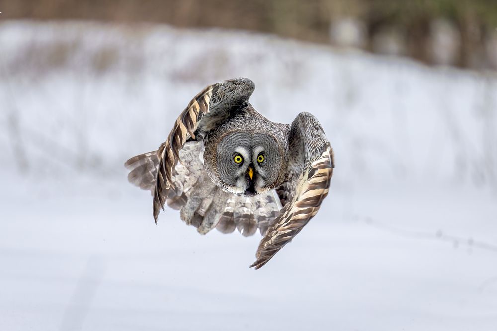 Photograph by Антон Науменко