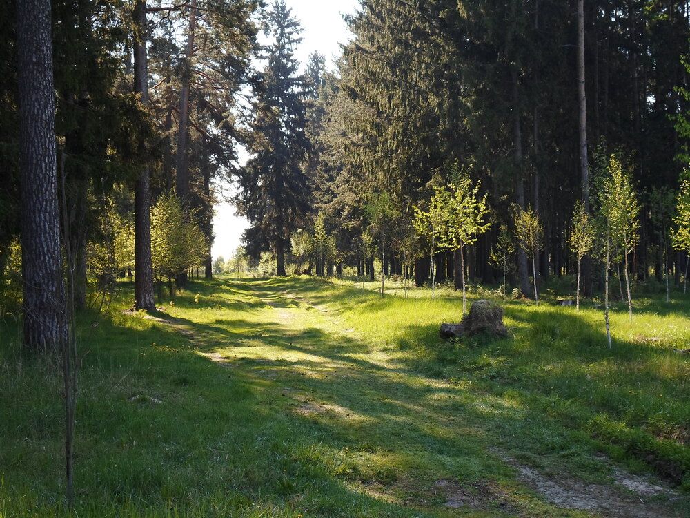 Photograph by Михаил