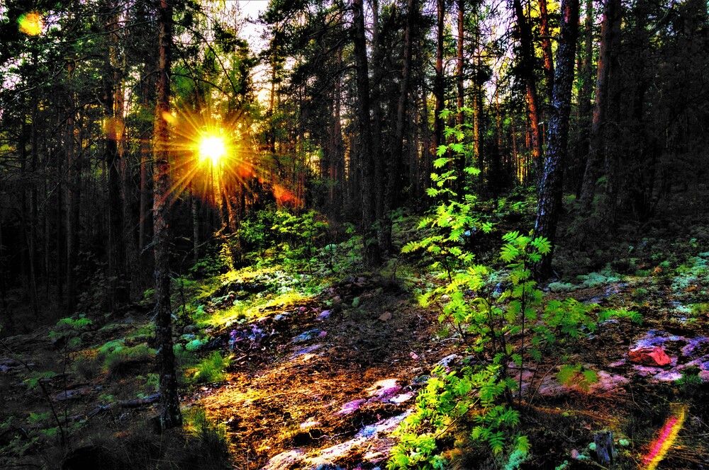 Photograph by Олег Менакер