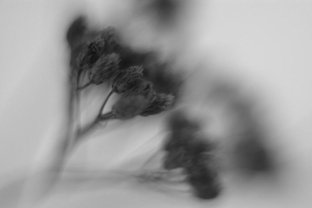 Зимний букет