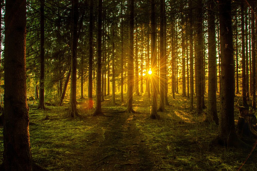Photograph by Олег Менакер