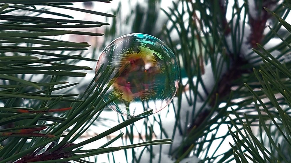 Photograph by Мария