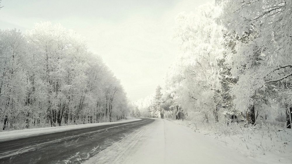 Photograph by Зырянова Анна