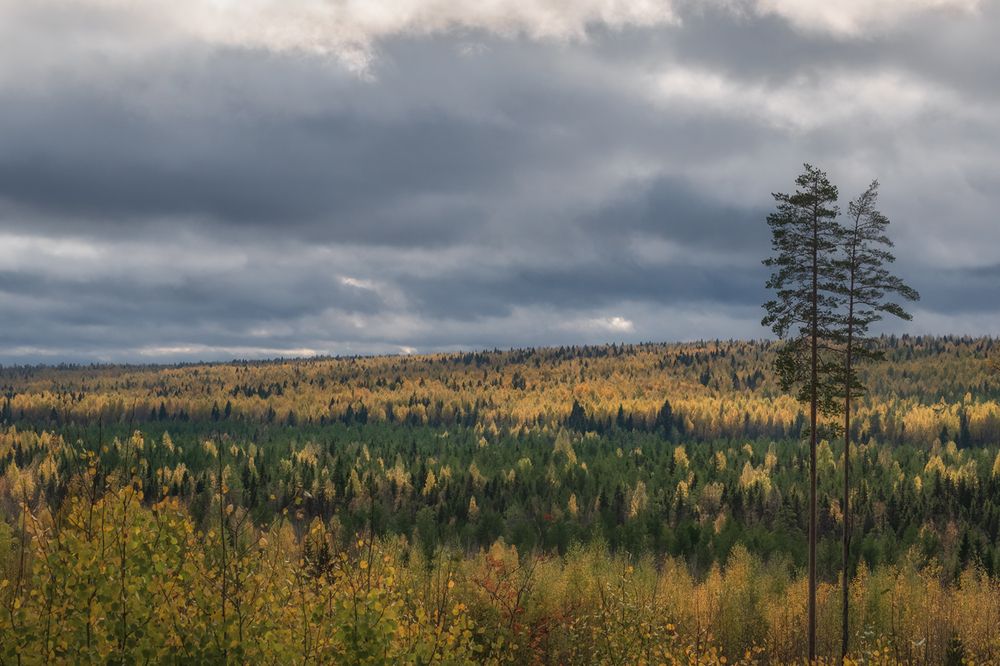 Photograph by Елена Амозова