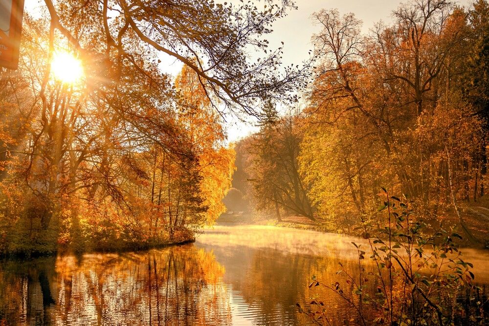 Photograph by Жанна Агафонова