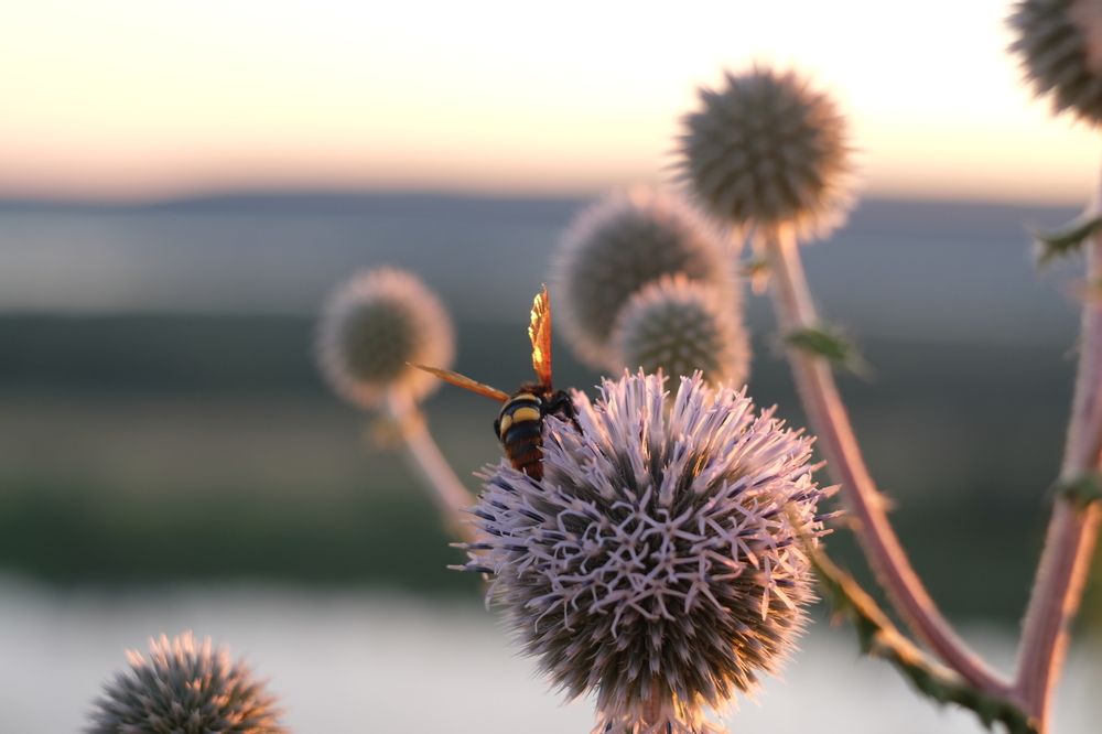 Photograph by Вадим Зрюев