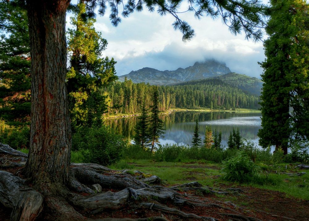 Photograph by Жанна Агафонова