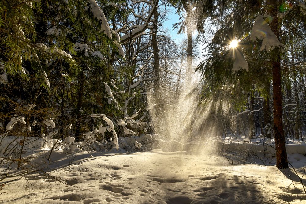 Photograph by Андрей Киселёв