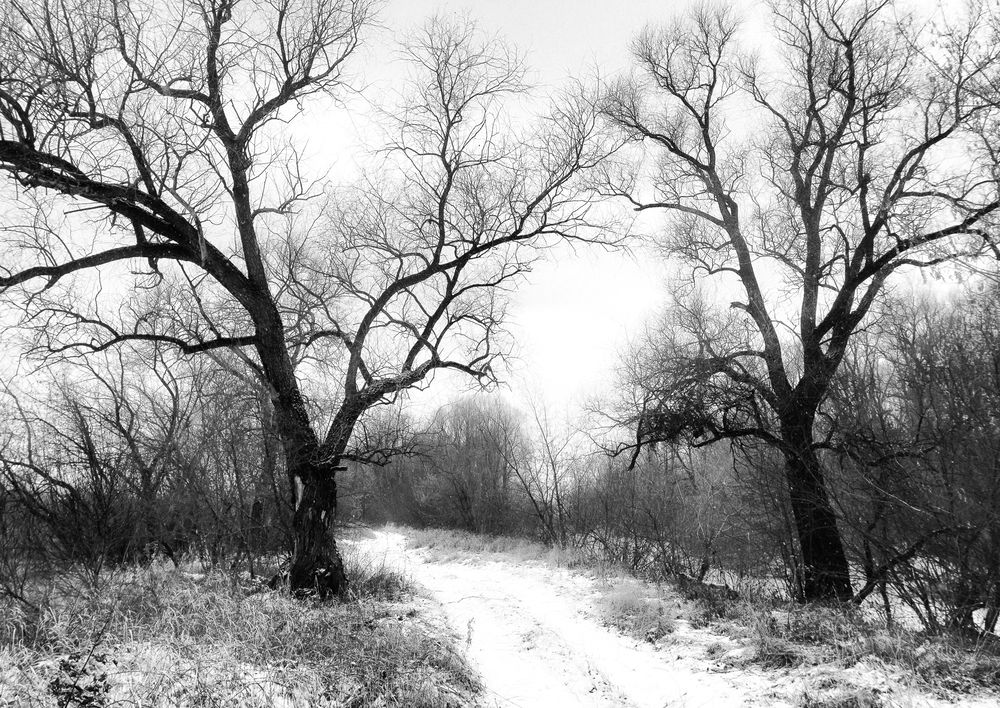 Фотография автора Maxim Bondar