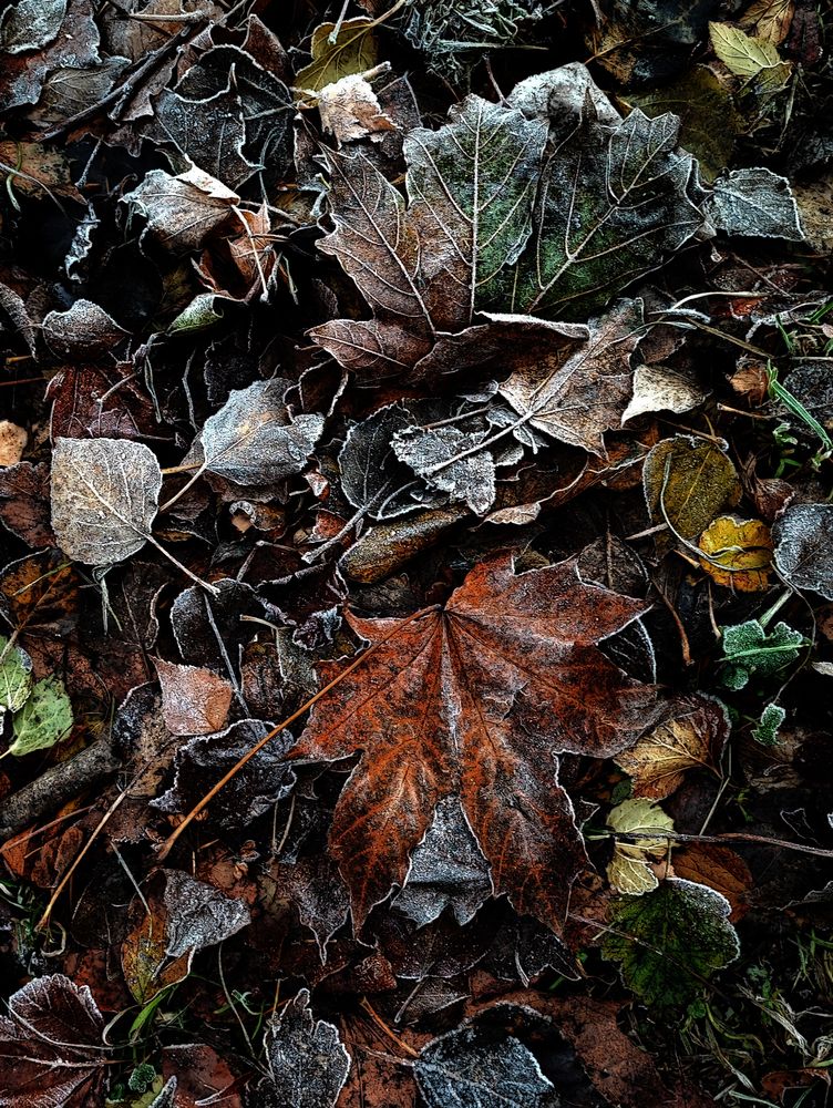 Photograph by Елена Юдина