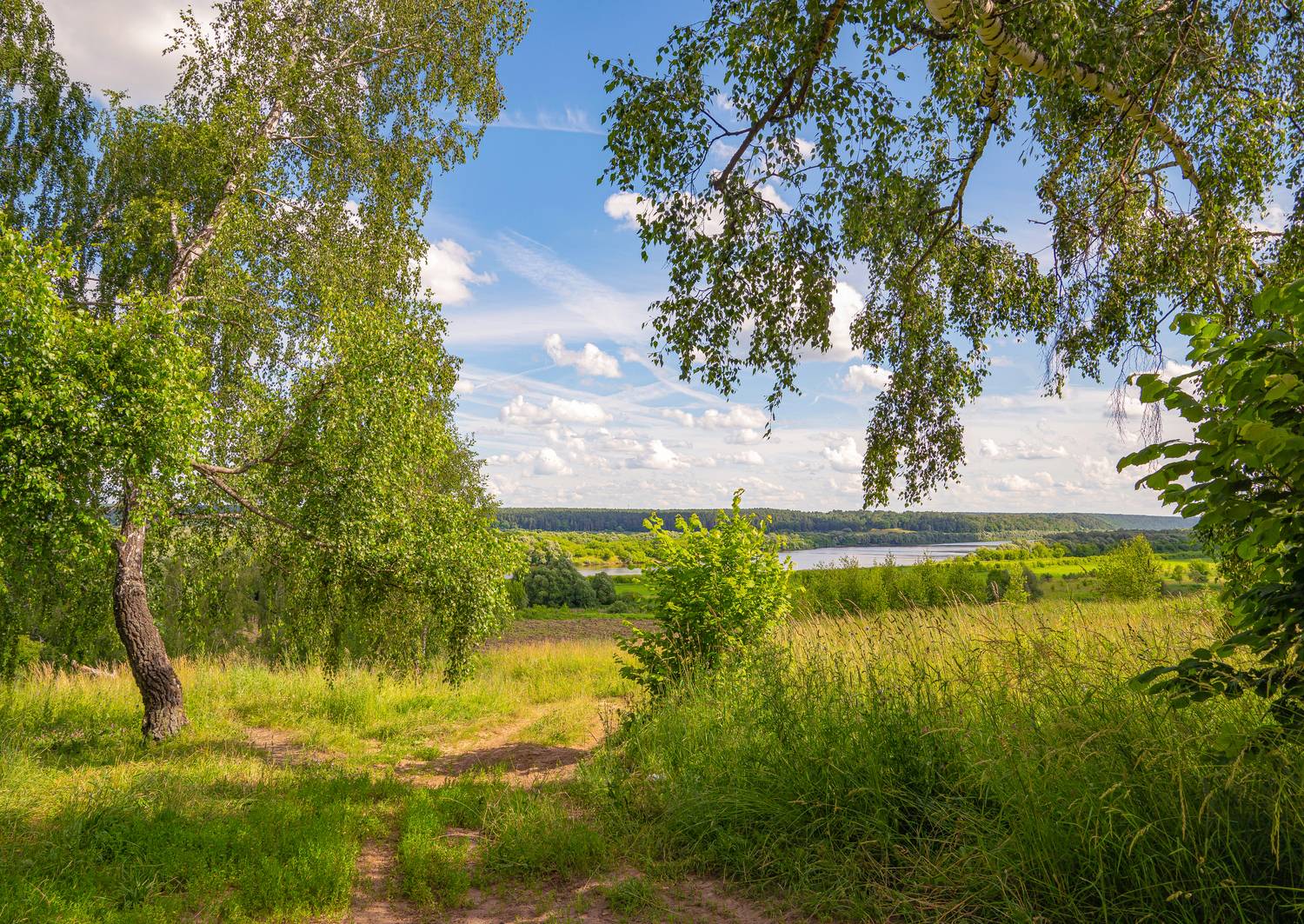 Фотография #11844190