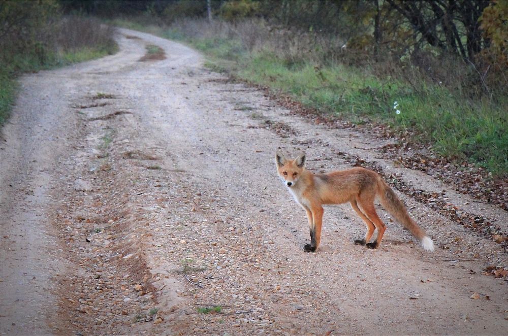Фотография автора Ser P