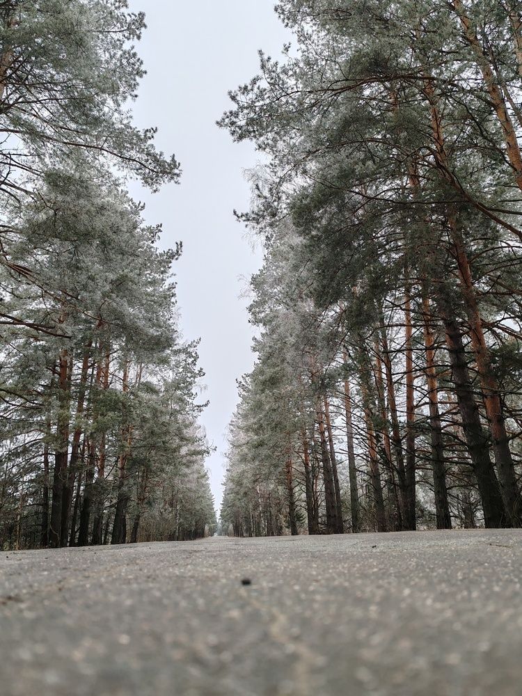 Фотография автора Кравцова Светлана