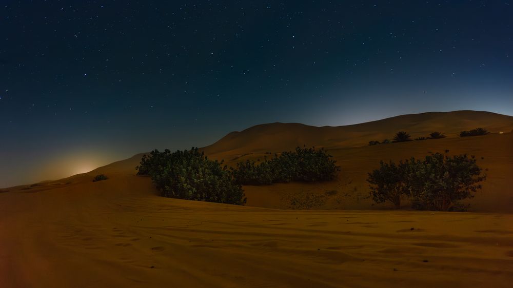 Photograph by Lisa Buzova